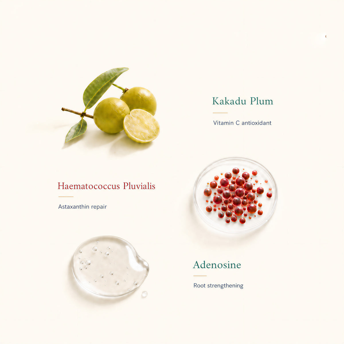 Kadūra Fresh Roots Shampoo core ingredients for oily scalp and fresh roots