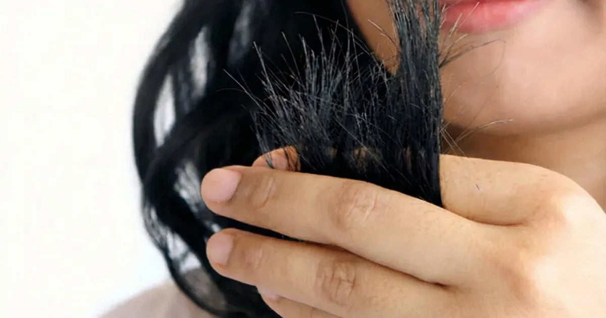 How to Reduce Hair Breakage: Practical Tips That Start in the Shower