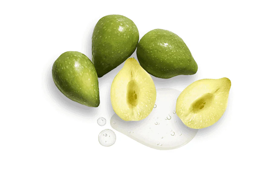 Kakadum Plum a superfruit