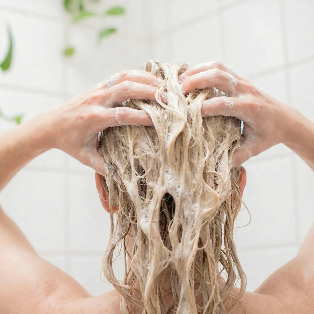 Conditioner from Kadura