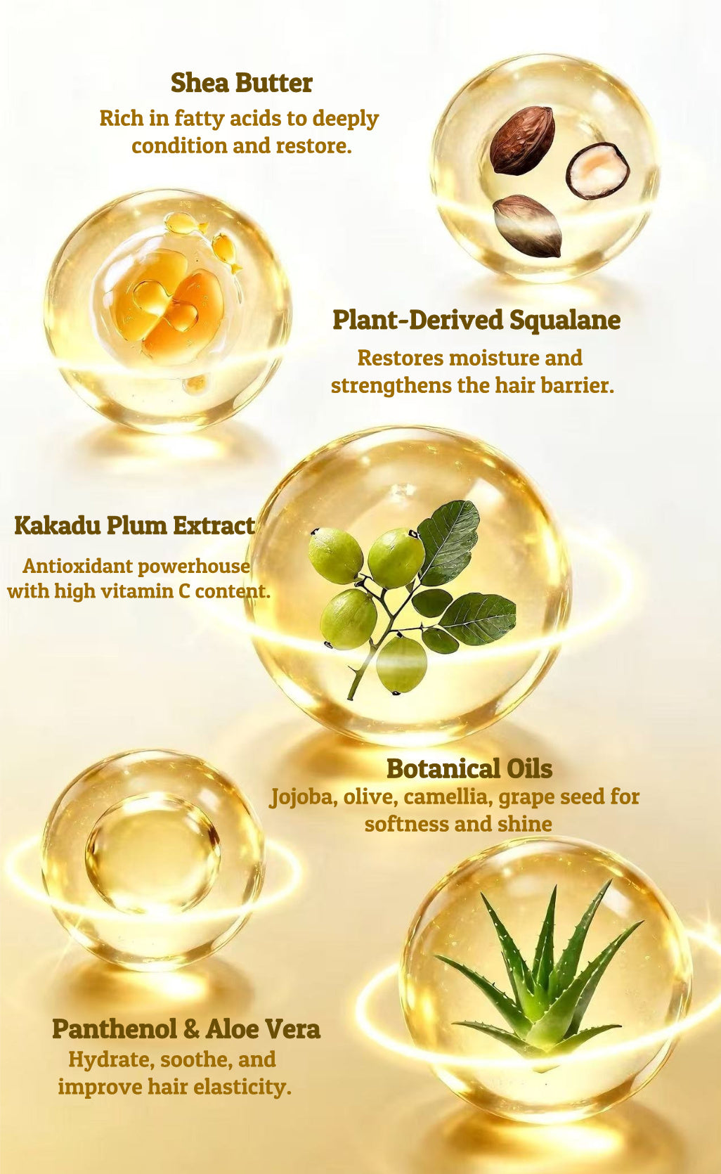 Shea Sanctuary Conditioner with Kakadu Plum &amp; Squalane – Nourishing &amp; Restorative | 400ml