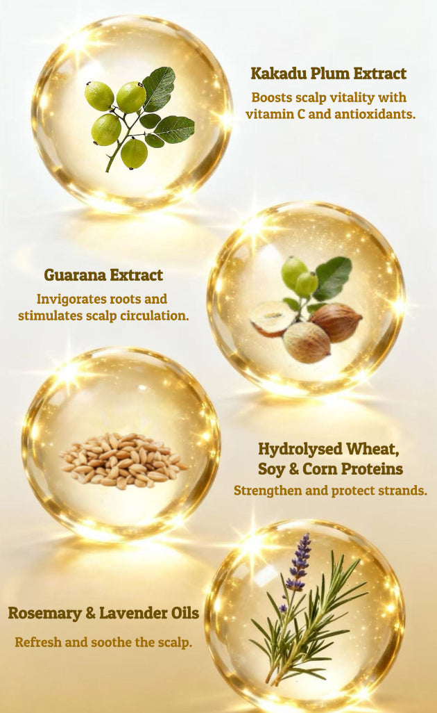 Root Revival Shampoo with Kakadu Plum &amp; Guarana – Clarifying &amp; Energising | 400ml