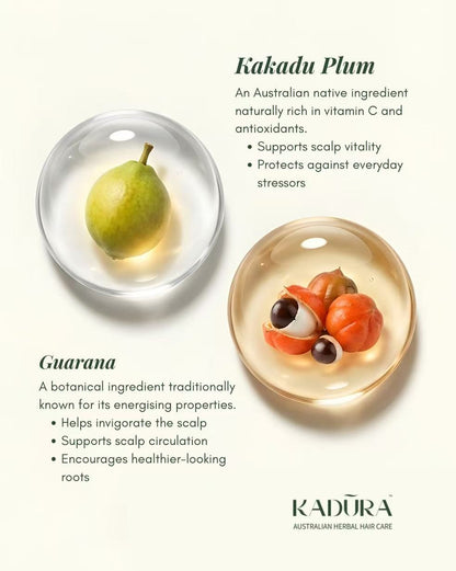 Kadūra Fresh Roots Shampoo-Scalp Reset for Oily &amp; Flat Hair | 400ml