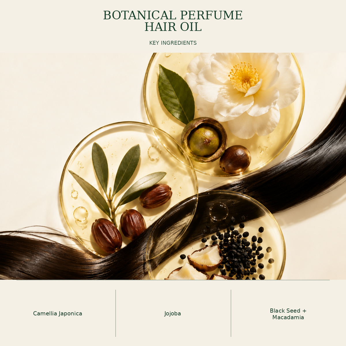 Botanical ingredient illustration for Kadūra Botanical Perfume Hair Oil for shine and frizz care