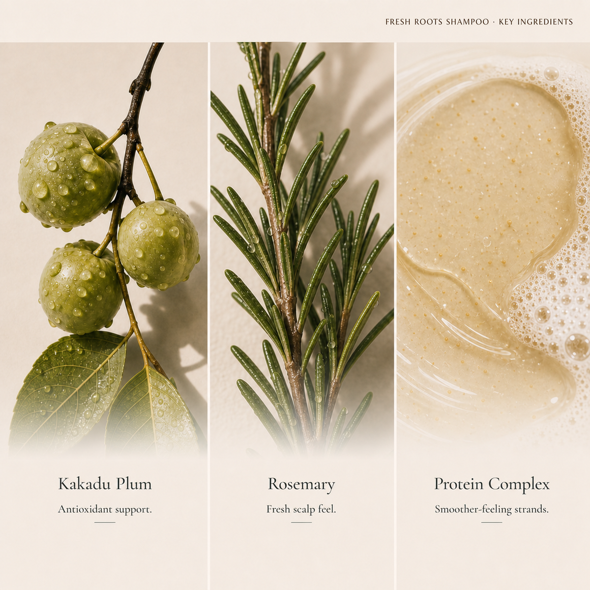 Kakadu plum, rosemary and plant protein complex featured in Kadūra Fresh Roots Shampoo