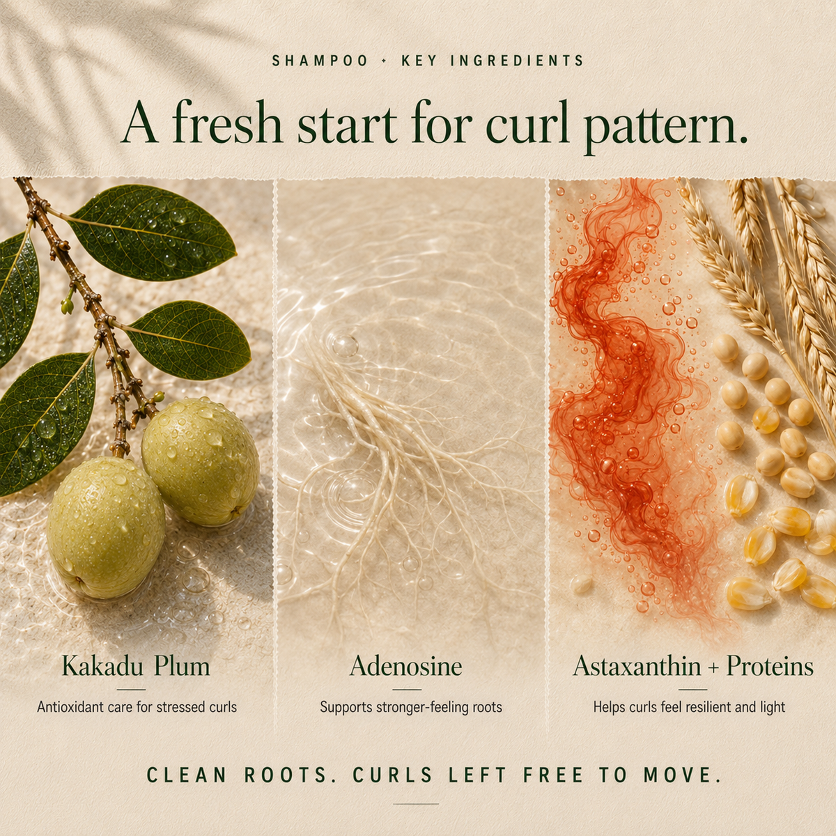 Kadūra CurlDefine Trio shampoo ingredient graphic featuring Kakadu plum, adenosine, astaxanthin and proteins.