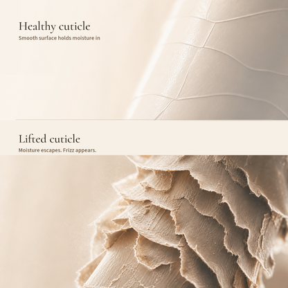 Diagram comparing a smooth healthy hair cuticle with a lifted cuticle linked to moisture loss