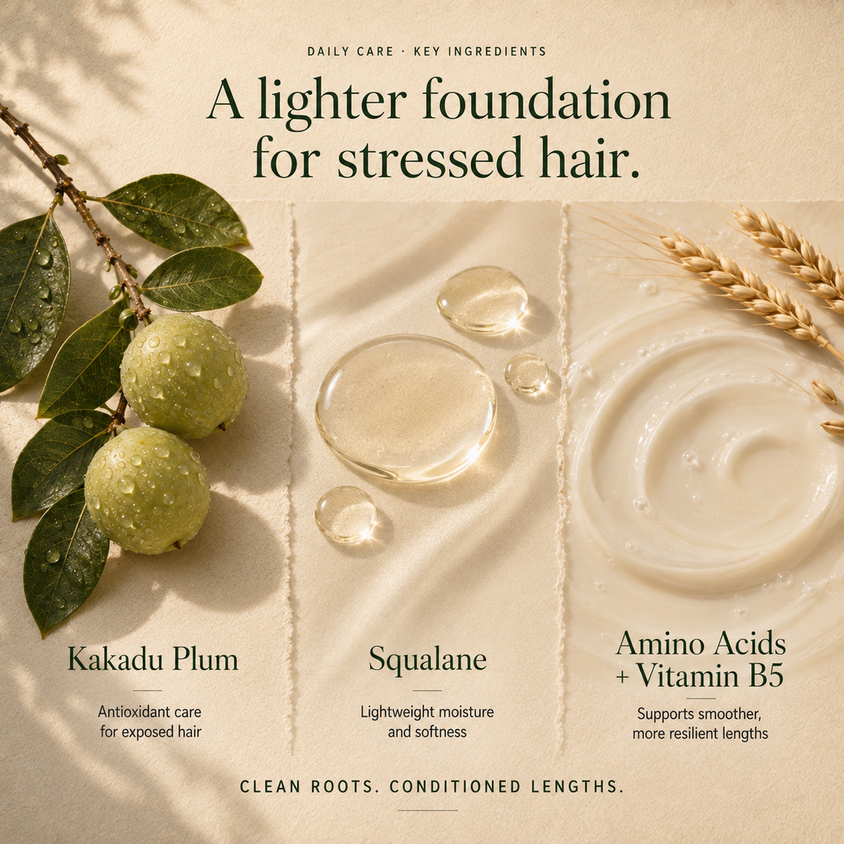 Kadūra RepairLux daily care key ingredients for damaged hair: Kakadu plum, squalane, amino acids, and vitamin B5