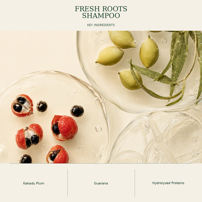 Botanical ingredient illustration for Kadūra Fresh Roots Shampoo for oily scalp care